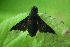  ( - MZH_NG.175)  @11 [ ] by-nc (2021) Miikka Friman Unspecified