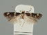 ( - MZH_NG.547)  @11 [ ] by-nc (2018) Marko Mutanen University of Oulu