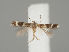  ( - MZH_NG.556)  @11 [ ] by-nc (2018) Marko Mutanen University of Oulu