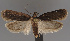  ( - MZH_NJ.7)  @11 [ ] by-nc (2022) Erkka Laine University of Oulu