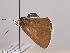  (Polyommatus orbitulus - Mtah381)  @11 [ ] by-nc (2022) Marko Tähtinen Unspecified