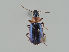  ( - MZH_NG.222)  @11 [ ] by-nc (2021) Marko Mutanen University of Oulu