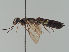  ( - MZH_NG.241)  @11 [ ] by-nc (2021) Marko Mutanen University of Oulu