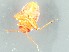  ( - NG.306)  @11 [ ] by-nc (2021) Marko Mutanen University of Oulu