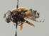  ( - NH.281)  @11 [ ] by-nc (2018) Marko Mutanen University of Oulu