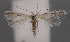  ( - NH.924)  @11 [ ] by-nc (2022) Anssi Vahatalo Luomus