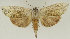  ( - NM004)  @11 [ ] CreativeCommons - Attribution Non-Commercial (2017) Marko Mutanen University of Oulu