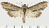  ( - PMS_DNA_1575)  @11 [ ] BY-NC-SA (2022) Pasi Sihvonen, FIN Pasi Sihvonen