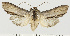  ( - PMS_DNA_1576)  @11 [ ] BY-NC-SA (2022) Pasi Sihvonen, FIN Pasi Sihvonen