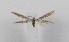  ( - TAB0010)  @11 [ ] by-nc (2022) Jukka Tabell Unspecified