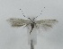  ( - TAB0026)  @11 [ ] by-nc (2022) Jukka Tabell Unspecified