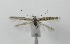  ( - TAB0038)  @11 [ ] by-nc (2022) Jukka Tabell Unspecified