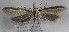  ( - TAB0067)  @11 [ ] by-nc (2022) Jukka Tabell Unspecified