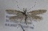  ( - TAB0068)  @11 [ ] by-nc (2022) Jukka Tabell Unspecified