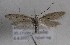  ( - TAB0069)  @11 [ ] by-nc (2022) Jukka Tabell Unspecified