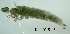  ( - TRIFI-2015F15)  @11 [ ] CreativeCommons - Attribution Non-Commercial (2015) Marko Mutanen University of Oulu