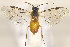  ( - ZMUO.029387)  @12 [ ] CreativeCommons - Attribution Non-Commercial (2016) Marko Mutanen University of Oulu