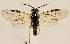  ( - ZMUO.029432)  @13 [ ] CreativeCommons - Attribution Non-Commercial (2017) Marko Mutanen University of Oulu
