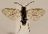  ( - ZMUO.029444)  @13 [ ] CreativeCommons - Attribution Non-Commercial (2017) Marko Mutanen University of Oulu