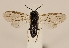  ( - ZMUO.029500)  @12 [ ] CreativeCommons - Attribution Non-Commercial (2017) Marko Mutanen University of Oulu