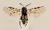  ( - ZMUO.029519)  @12 [ ] CreativeCommons - Attribution Non-Commercial (2017) Marko Mutanen University of Oulu