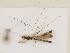  ( - ZMUO.029526)  @11 [ ] CreativeCommons - Attribution Non-Commercial (2018) Marko Mutanen University of Oulu