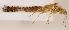  ( - ZMUO.029556)  @11 [ ] CreativeCommons - Attribution Non-Commercial (2018) Marko Mutanen University of Oulu