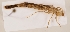  ( - ZMUO.029585)  @11 [ ] CreativeCommons - Attribution Non-Commercial (2018) Marko Mutanen University of Oulu