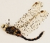  ( - ZMUO.029592)  @11 [ ] CreativeCommons - Attribution Non-Commercial (2018) Marko Mutanen University of Oulu