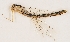 ( - ZMUO.029598)  @11 [ ] CreativeCommons - Attribution Non-Commercial (2018) Marko Mutanen University of Oulu