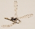  ( - ZMUO.029601)  @11 [ ] CreativeCommons - Attribution Non-Commercial (2018) Marko Mutanen University of Oulu