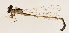  ( - ZMUO.029848)  @11 [ ] CreativeCommons - Attribution Non-Commercial (2018) Marko Mutanen University of Oulu
