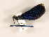  ( - ZMUO.029853)  @11 [ ] CreativeCommons - Attribution Non-Commercial (2018) Marko Mutanen University of Oulu