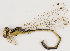  ( - ZMUO.029859)  @11 [ ] CreativeCommons - Attribution Non-Commercial (2016) Marko Mutanen University of Oulu