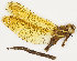 ( - ZMUO.029865)  @11 [ ] CreativeCommons - Attribution Non-Commercial (2016) Marko Mutanen University of Oulu