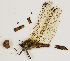  ( - ZMUO.029885)  @11 [ ] CreativeCommons - Attribution Non-Commercial (2016) Marko Mutanen University of Oulu