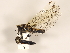  ( - ZMUO.029892)  @11 [ ] CreativeCommons - Attribution Non-Commercial (2018) Marko Mutanen University of Oulu