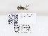  ( - ZMUO.030344)  @12 [ ] CreativeCommons - Attribution Non-Commercial (2019) Marko Mutanen University of Oulu