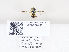  ( - ZMUO.030384)  @11 [ ] CreativeCommons - Attribution Non-Commercial (2019) Marko Mutanen University of Oulu