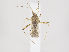 ( - ZMUO.036211)  @11 [ ] CreativeCommons - Attribution Non-Commercial (2019) Marko Mutanen University of Oulu
