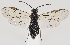  ( - ZMUO.037202)  @11 [ ] CreativeCommons - Attribution Non-Commercial (2019) Marko Mutanen University of Oulu