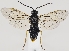  ( - ZMUO.037203)  @13 [ ] CreativeCommons - Attribution Non-Commercial (2019) Marko Mutanen University of Oulu