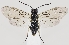  ( - ZMUO.037212)  @11 [ ] CreativeCommons - Attribution Non-Commercial (2019) Marko Mutanen University of Oulu