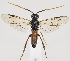  ( - ZMUO.037219)  @11 [ ] CreativeCommons - Attribution Non-Commercial (2019) Marko Mutanen University of Oulu