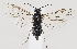  ( - ZMUO.037222)  @11 [ ] CreativeCommons - Attribution Non-Commercial (2019) Marko Mutanen University of Oulu