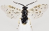  ( - ZMUO.037240)  @11 [ ] CreativeCommons - Attribution Non-Commercial (2019) Marko Mutanen University of Oulu