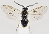  ( - ZMUO.037241)  @11 [ ] CreativeCommons - Attribution Non-Commercial (2019) Marko Mutanen University of Oulu
