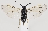  ( - ZMUO.037250)  @11 [ ] CreativeCommons - Attribution Non-Commercial (2019) Marko Mutanen University of Oulu