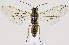  ( - ZMUO.037253)  @13 [ ] CreativeCommons - Attribution Non-Commercial (2019) Marko Mutanen University of Oulu