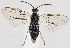  ( - ZMUO.037257)  @11 [ ] CreativeCommons - Attribution Non-Commercial (2019) Marko Mutanen University of Oulu